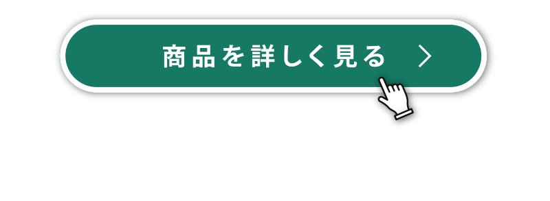 �ڂ�������