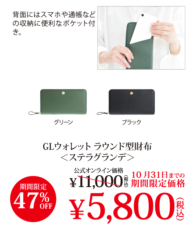 GL�E�H���b�g ���E���h�^���z���X�e���O�����f��
