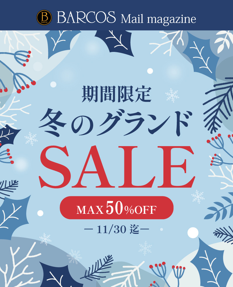 MAX50OFF̃oRX~̃vOhZ[JÁI