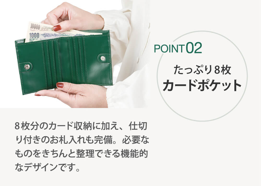 たっぷり8枚カードポケット