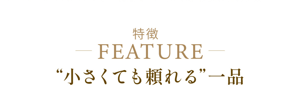 特徴 “小さくても頼れる”一品