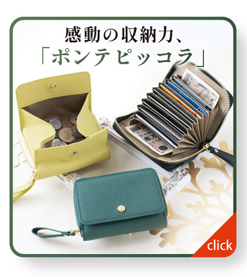 感動の収納力＜ポンテ ピッコラ＞