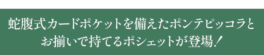 究極の開運財布を目指した＜ポンテ ピッコラ＞とお揃いで持てるポシェットが登場！