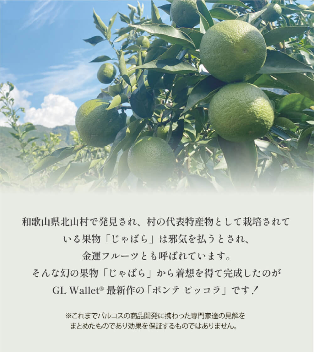 究極の財布が完成