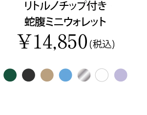 リトルノチップ付き蛇腹ミニウォレット